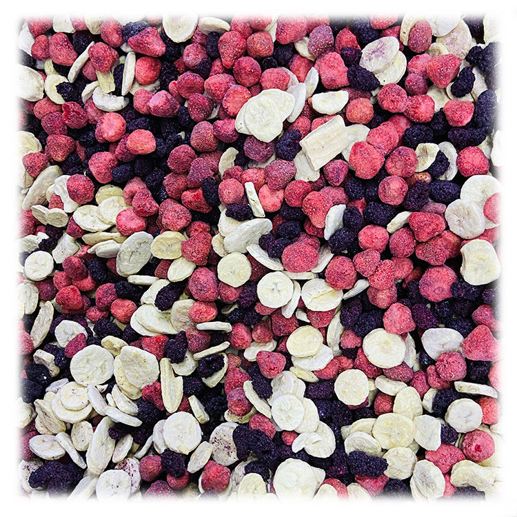 Freeze-dried Mixed Fruit Slices